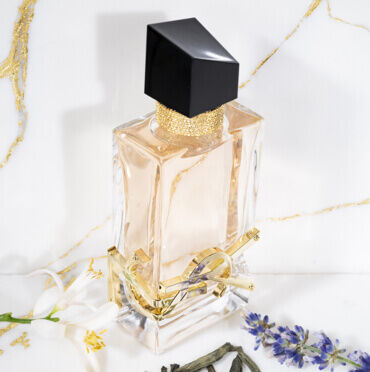 Amazon.com : YVES SAINT LAURENT Libre Eau de Parfum 50ml