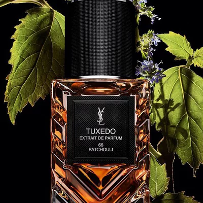 YSL LVDP Tuxedo Extrait de Parfum bottle, adorned with vibrant green patchouli leaves and delicate purple flowers.