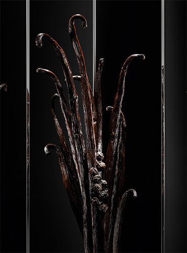 Discover MYSLF Le Parfum, the new fragrance for men by YSL.