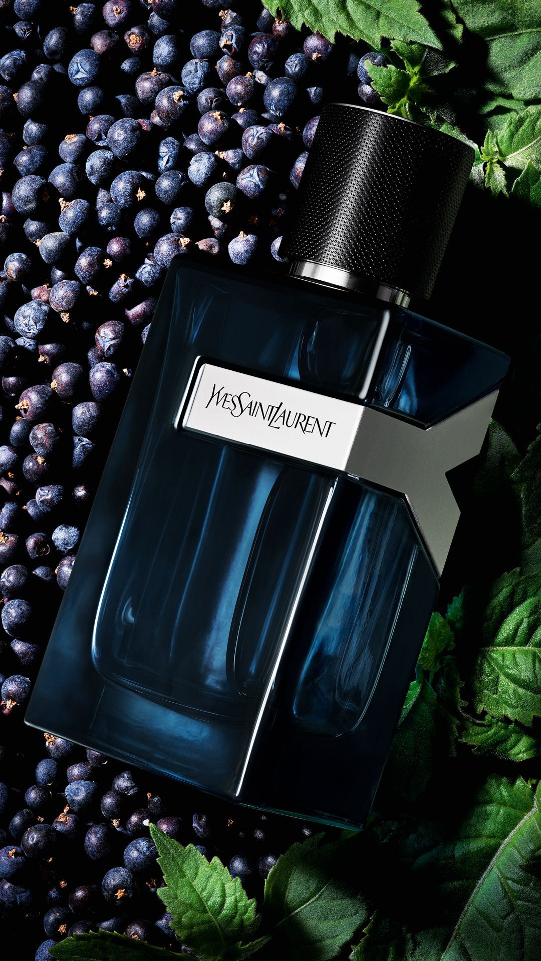 当店だけの限定モデル Explore Y Beauty YSL | fragrance masculine new the L'ELIXIR ジャケット・アウター