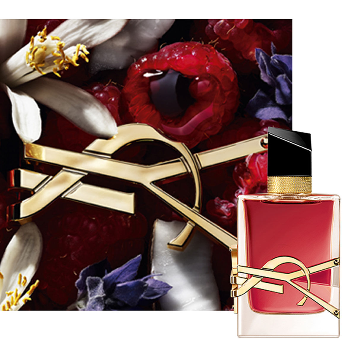 Close-up of Libre Berry Crush bottle with gold YSL logo surrounded by red berries and floral elements.