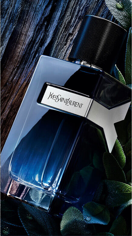 YSL Y Eau de Parfum bottle, sleek blue design with silver Y emblem, on a dark textured wood background with deep green leaves.