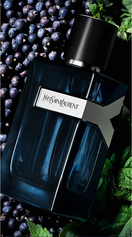 YSL Y Eau de Parfum Intense bottle, with its iconic blue hue, nestled  among rich juniper berries and verdant foliage.
