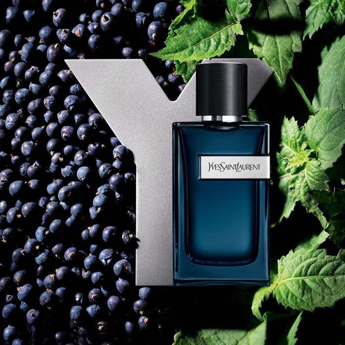 YSL Y Eau de Parfum Intense bottle, dark blue with silver Y logo, surrounded by rich juniper berries and vibrant green leaves.