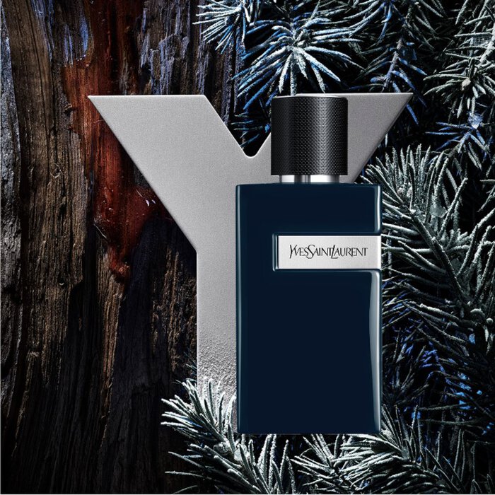 YSL Y Le Parfum bottle, dark blue with silver Y logo, set against a rustic wooden background and frosted pine branches.