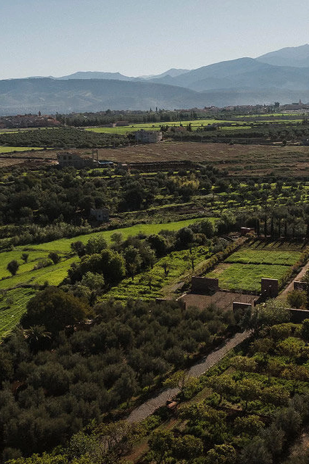 YSL For The Future: Aerial view of the Ourika Community Gardens, lush green fields, trees, and mountains under a clear sky.