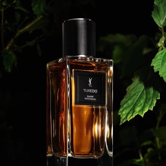 YSL Tuxedo fragrance bottle surrounded by green patchouli leaves, representing the sharp couture scent.