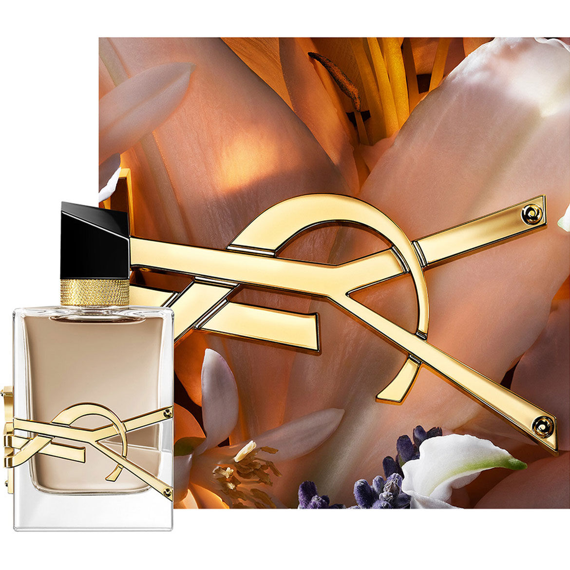 LIBRE FLOWERS & FLAMES bottle framed with creamy petals and golden YSL logo in warm light.