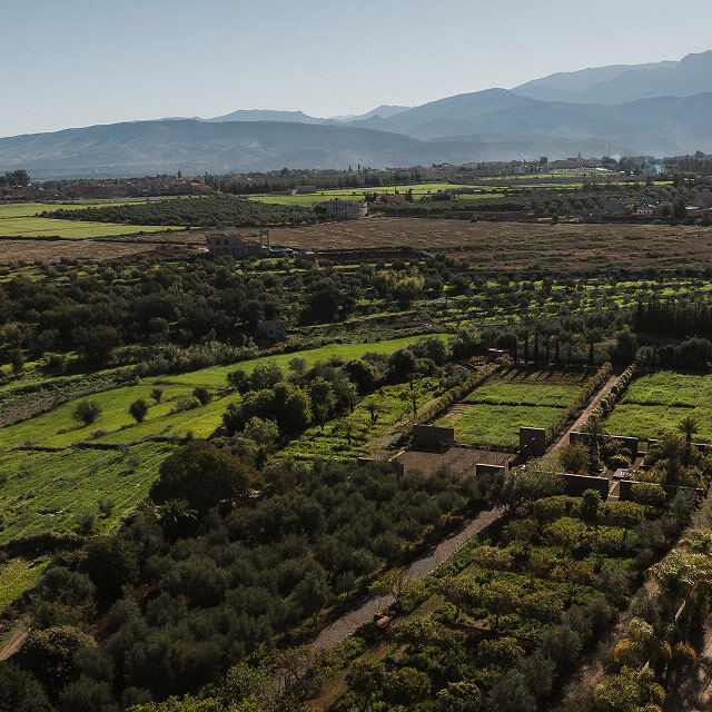 YSL For The Future: Aerial view of the Ourika Community Gardens, lush green fields, trees, and mountains under a clear sky.