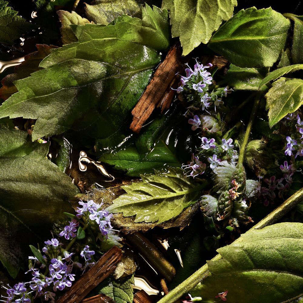 YSL LVDP Tuxedo Extrait de Parfum ingredient: lush green patchouli leaves and purple flowers macerating in water.