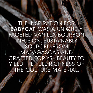 BABYCAT-LE VESTIAIRE DES PARFUMS by YSL Beauty International