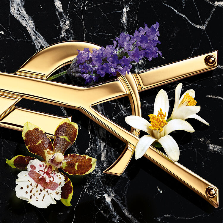 YSL LIBRE EAU DE PARFUM INTENSE