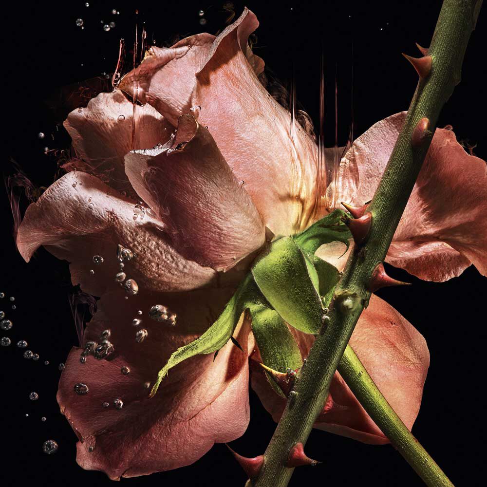 BLOUSE EXTRAIT DE PARFUM