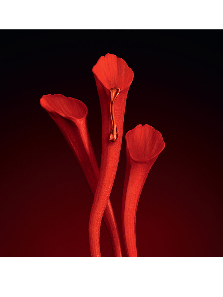 SAINT LAURENT マスクフレムサンクラス 610923Y9902 1000 Or Rouge Le Masque Suprême | Dramatic skin renewal and plump