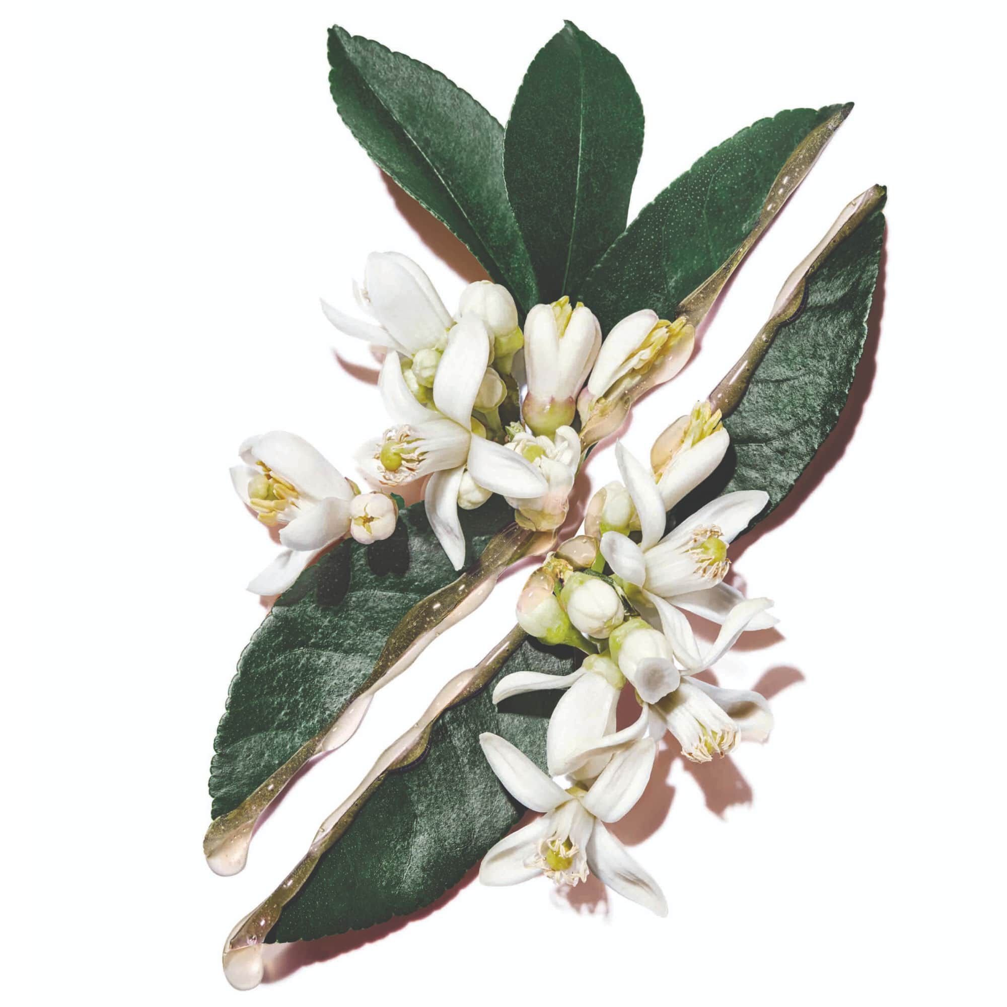 HYDRA BOUNCE ESSENCE-IN-LOTION