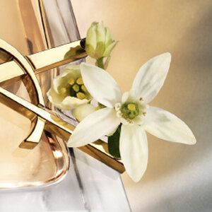 Libre Eau de Parfum 0