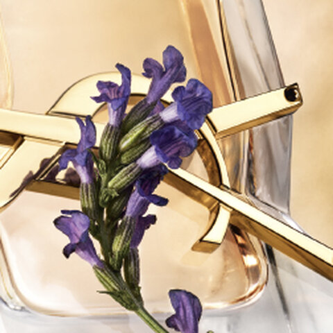 Libre Eau de Parfum 2