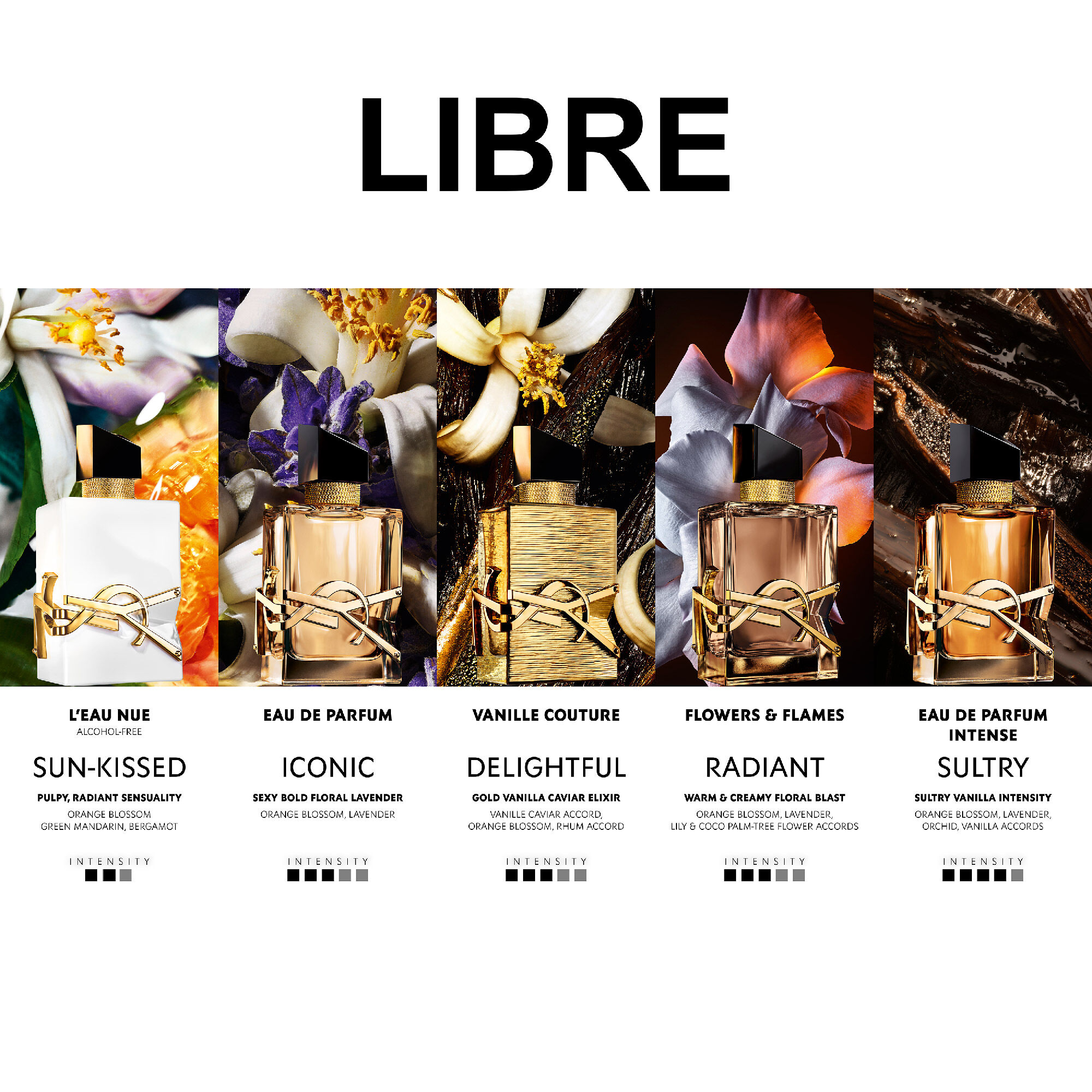 Libre fragrance collection lineup showing multiple Libre bottles and variant names, with intensity indicators.