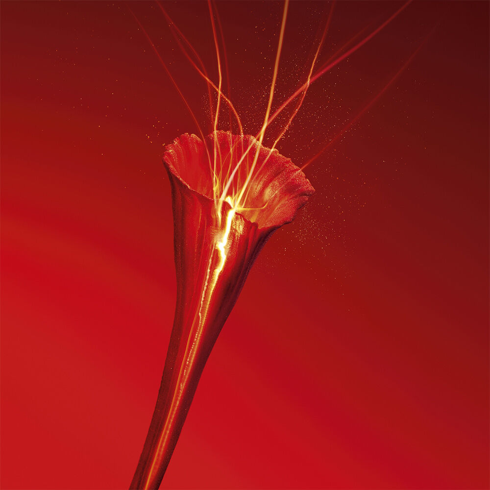 OR ROUGE LA CREME RICHE