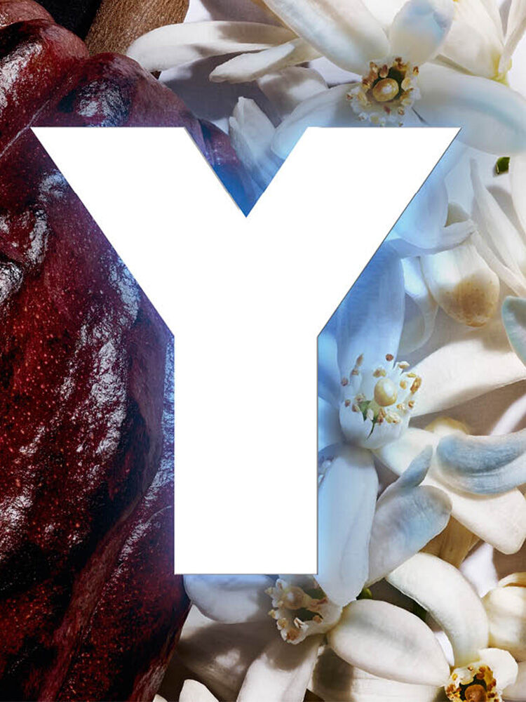 Ysl live perfume sales