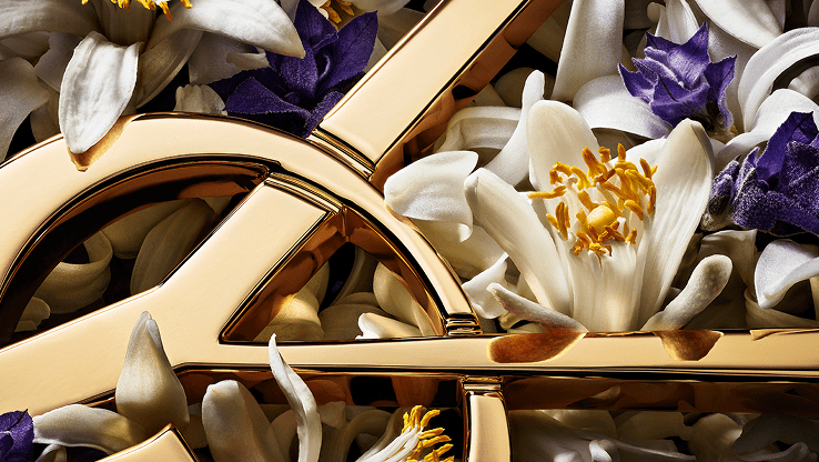 Gold YSL logo framed by white orange blossom and purple lavender flowers.