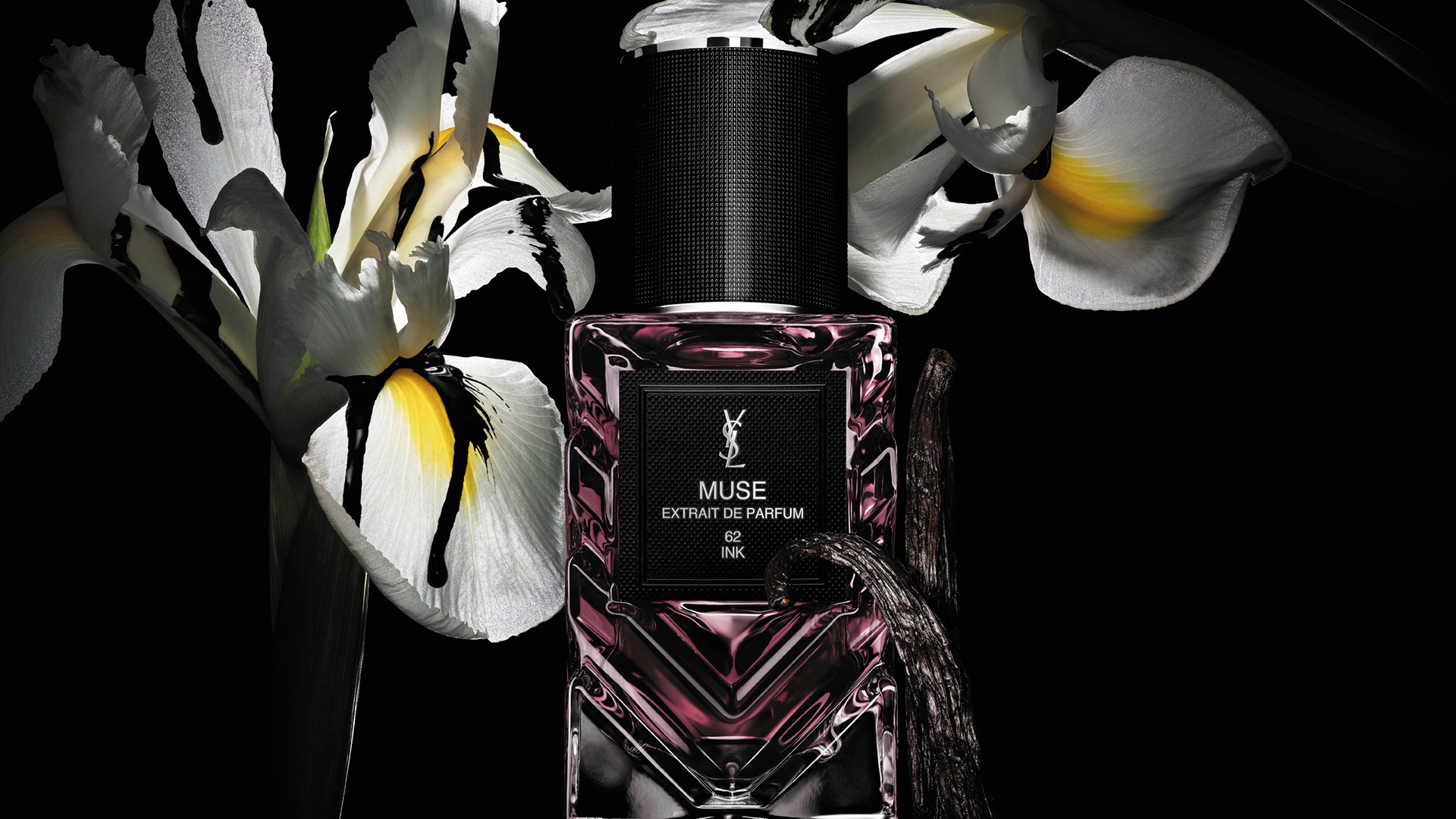 YSL Muse extrait de parfum bottle with white flowers and vanilla pods on black background.