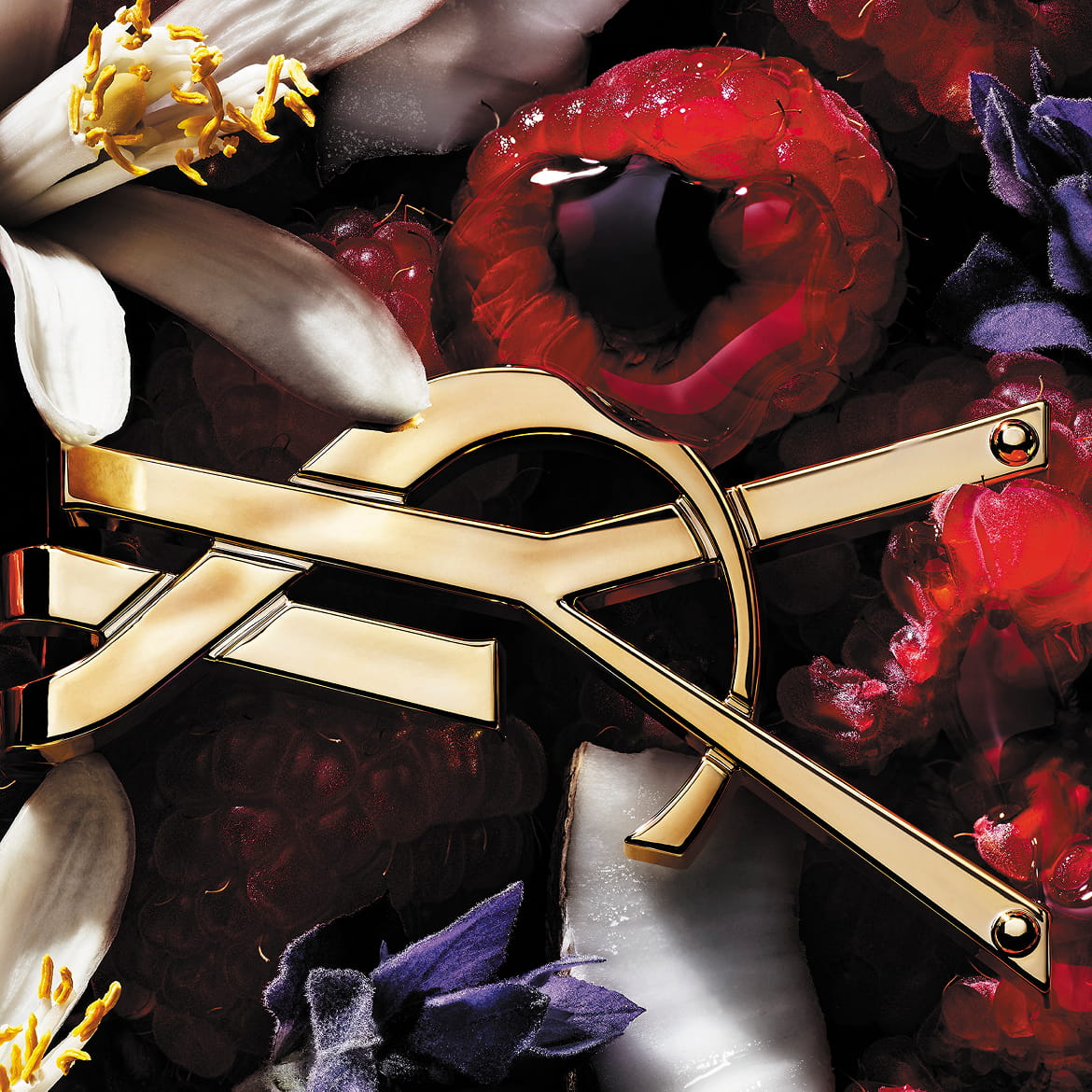 Close-up of raspberries and white flowers with a gold YSL Cassandre detail, evoking the fruity floral notes of LIBRE Berry Crush.