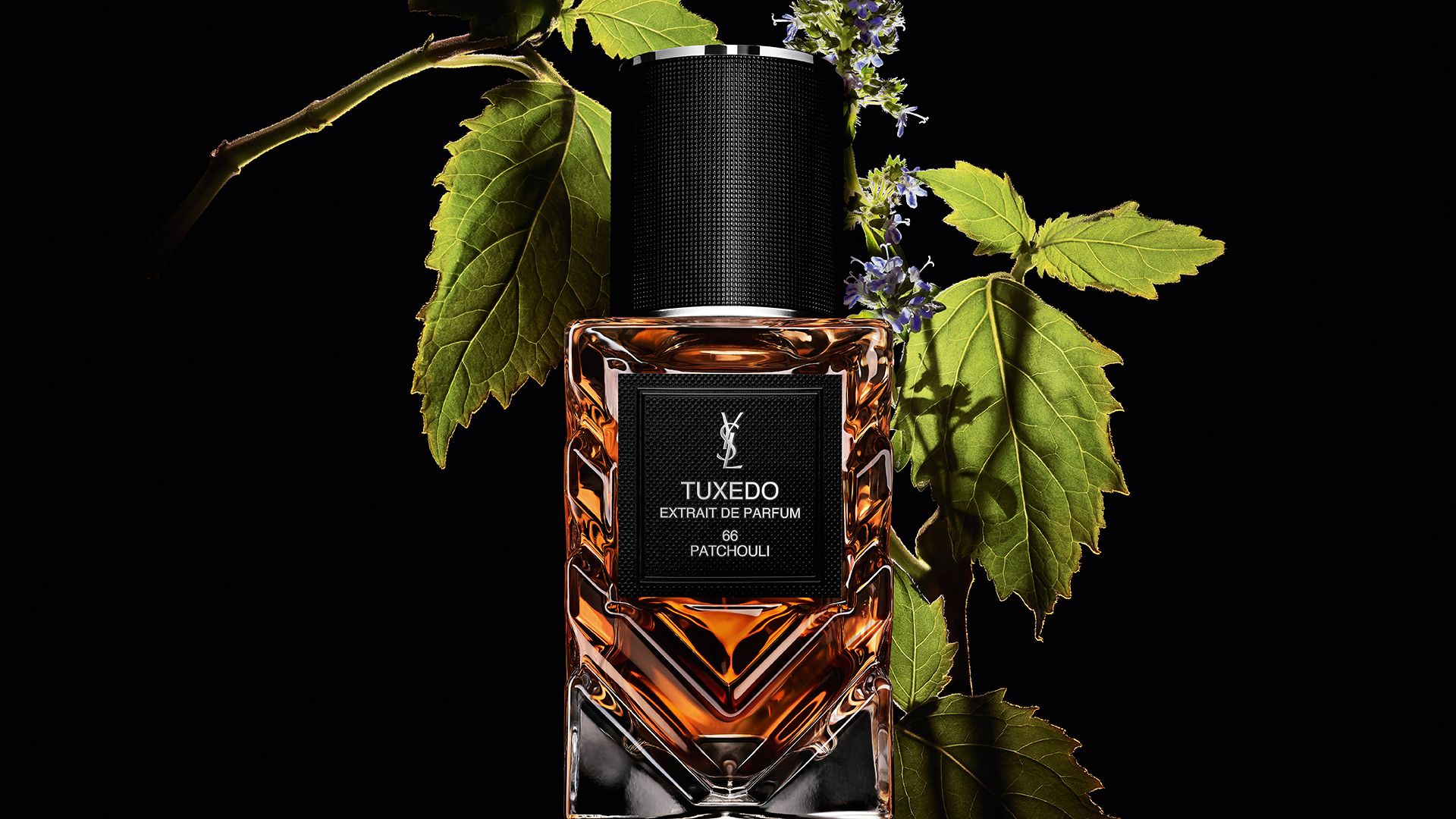 YSL LVDP Tuxedo Extrait de Parfum bottle, adorned with vibrant
green patchouli leaves and delicate purple flowers.