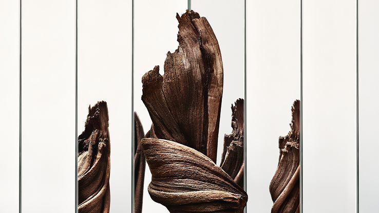 YSL MYSLF Eau de Parfum ingredient: dark wood, showcasing rich, textured pieces of wood.